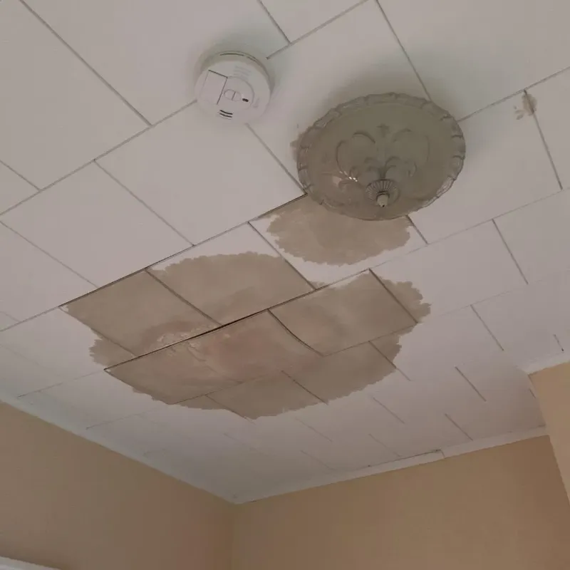 Ceiling Water Damage Repair in Tyler, TX
