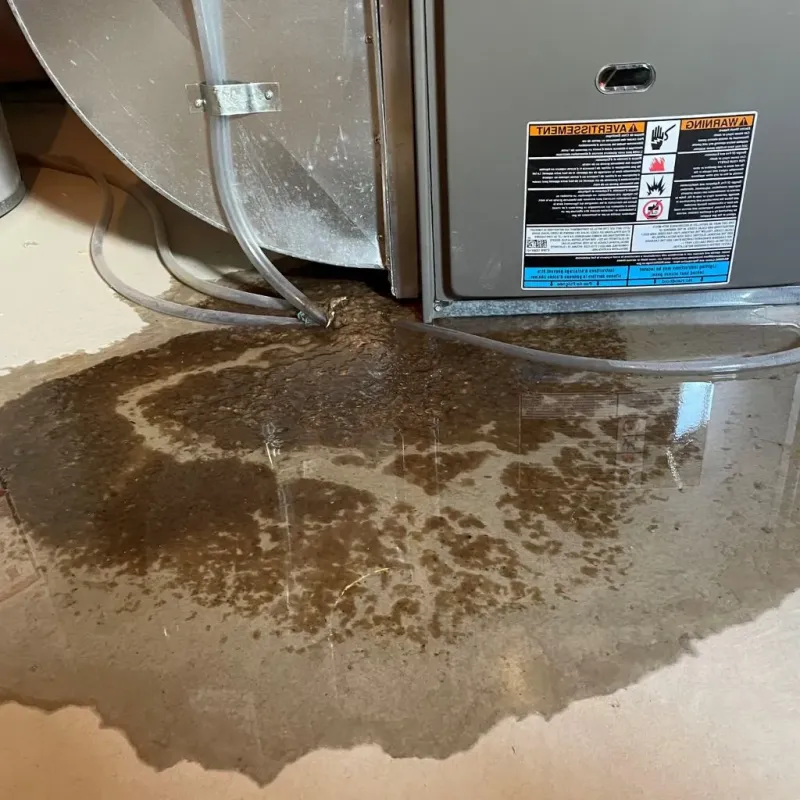 Pipe Burst and Leak Restoration in Tyler, TX