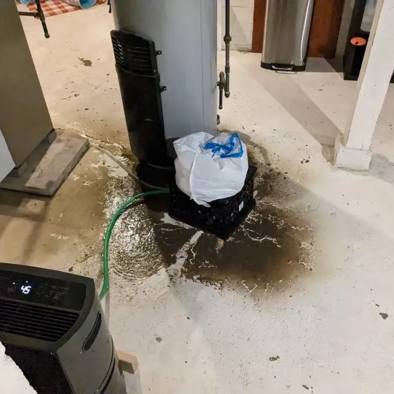 Sewage Backup Cleanup Service in Tyler, TX
